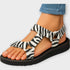 Zebra - Musta